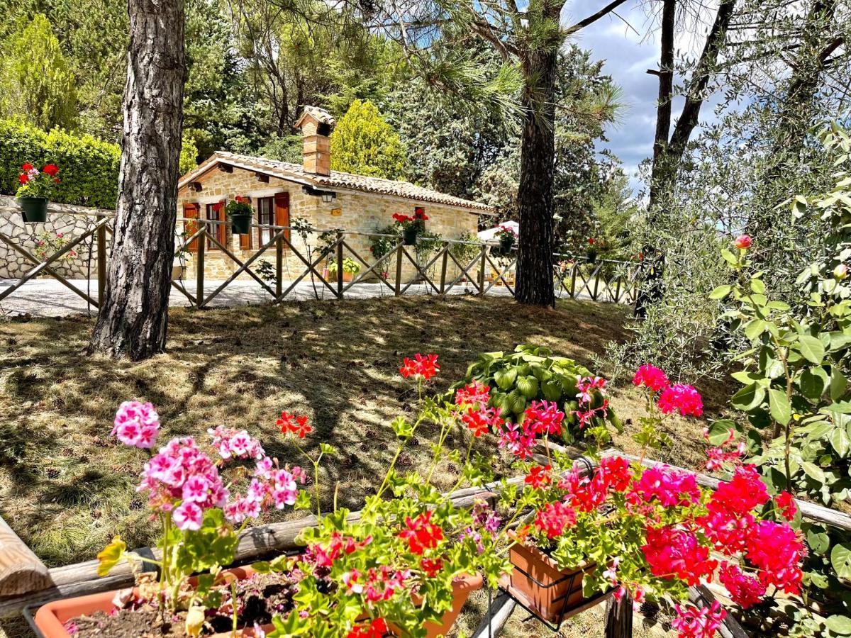 La Panoramica Gubbio: Charming Self-Catering Retreat Villa Exterior photo