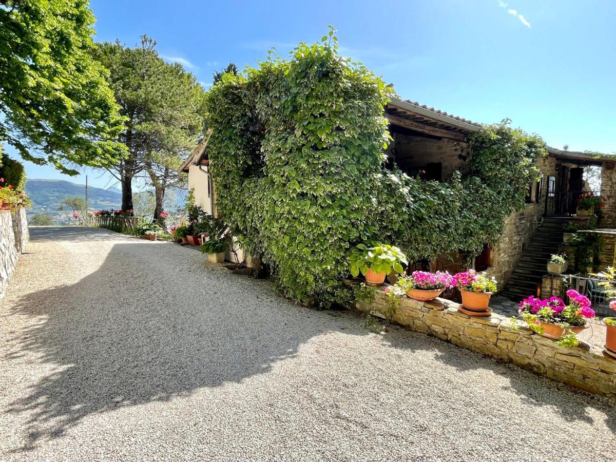 La Panoramica Gubbio: Charming Self-Catering Retreat Villa Exterior photo